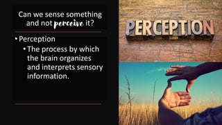 •Perception
•The process by which
the brain organizes
and interprets sensory
information.
Can we sense something
and not perceive it?
 