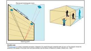 FIGURE 4.62b
The Ames room is a study in deceptive perception, designed to be viewed through a peephole with one eye. (b) This diagram shows the
positions of the people in the Ames room and demonstrates how the illusion of distance is created. (Wilson et al., 1964)
 