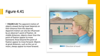 Figure 4.41
• FIGURE 4.41 The apparent motion of
objects viewed during travel depends on
their distance from the observer.
Apparent motion can also be influenced
by an observer’s point of fixation. At
middle distances, objects closer than the
point of fixation appear to move
backward; those beyond the point of
fixation appear to move forward. Objects
at great distances, such as the sun or
moon, always appear to move forward.
 