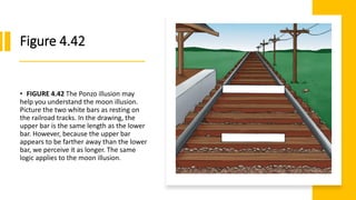 Figure 4.42
• FIGURE 4.42 The Ponzo illusion may
help you understand the moon illusion.
Picture the two white bars as resting on
the railroad tracks. In the drawing, the
upper bar is the same length as the lower
bar. However, because the upper bar
appears to be farther away than the lower
bar, we perceive it as longer. The same
logic applies to the moon illusion.
 