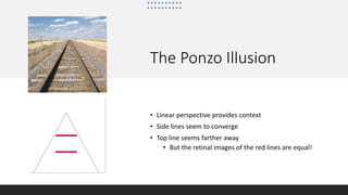 The Ponzo Illusion
• Linear perspective provides context
• Side lines seem to converge
• Top line seems farther away
• But the retinal images of the red lines are equal!
 