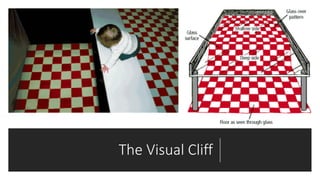 The Visual Cliff
 