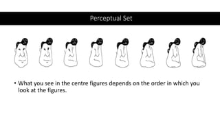 Perceptual Set
• What you see in the centre figures depends on the order in which you
look at the figures.
 