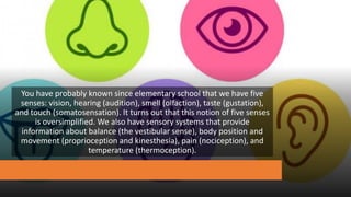 You have probably known since elementary school that we have five
senses: vision, hearing (audition), smell (olfaction), taste (gustation),
and touch (somatosensation). It turns out that this notion of five senses
is oversimplified. We also have sensory systems that provide
information about balance (the vestibular sense), body position and
movement (proprioception and kinesthesia), pain (nociception), and
temperature (thermoception).
 