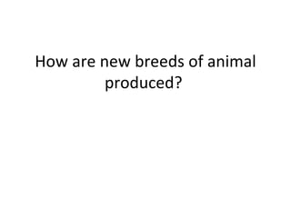 How are new breeds of animal produced?  