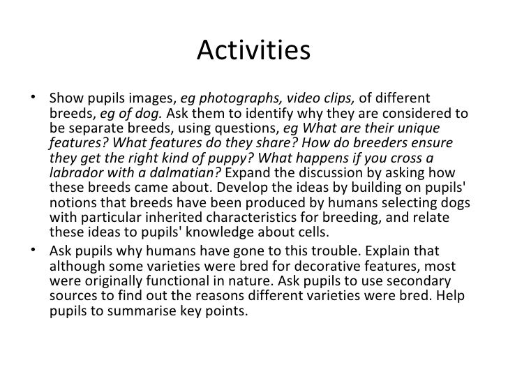 animal production synonym animal production synonym