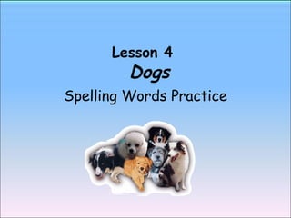 Lesson 4    Dogs Spelling Words Practice 