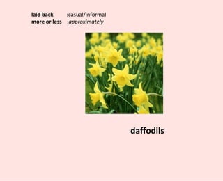 laid back  :casual/informal more or less   : approximately daffodils 