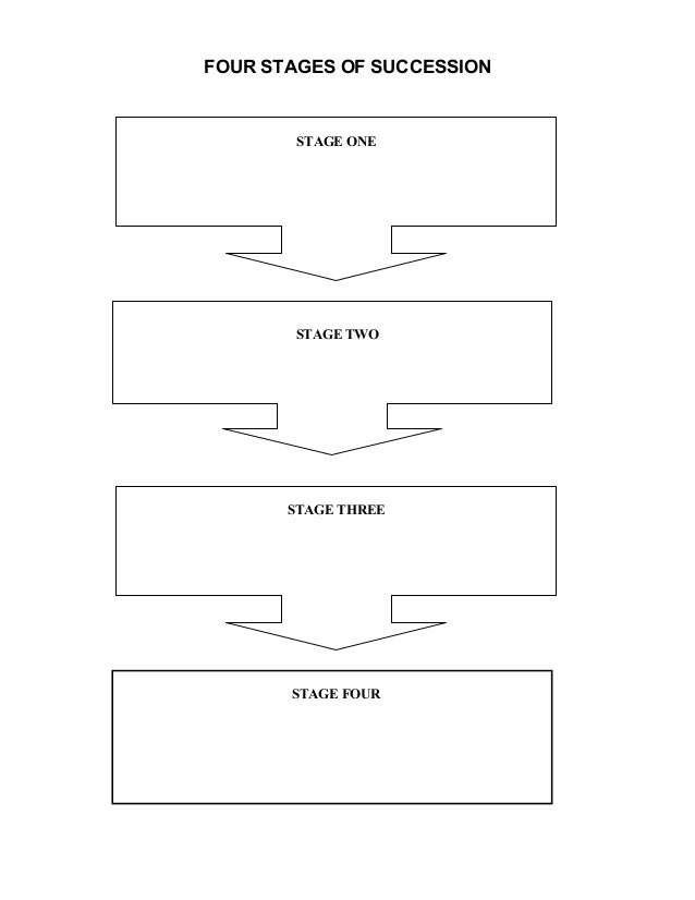Lesson4,successful succession