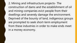 2. Mining and infrastructure projects- The
construction of dams and the establishment of oil
and mining companies evict people from their
dwellings and severely damage the environment.
Deprived of the bounty of land, indigenous groups
are prompted to seek short-term employment
from these industries in order to make ends meet
in a money economy.
 