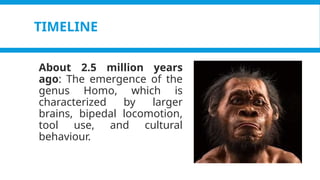 Pagel, M. (2017). Q&A: What is human language, when did it evolve and why should we care? BMC Biology, 15(1).
https://doi.org/10.1186/s12915-017-0405-3
TIMELINE
About 2.5 million years
ago: The emergence of the
genus Homo, which is
characterized by larger
brains, bipedal locomotion,
tool use, and cultural
behaviour.
 