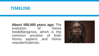 Pagel, M. (2017). Q&A: What is human language, when did it evolve and why should we care? BMC Biology, 15(1).
https://doi.org/10.1186/s12915-017-0405-3
TIMELINE
About 500,000 years ago: The
evolution of Homo
heidelbergensis, which is the
common ancestor of both
Homo sapiens and Homo
neanderthalensis.
 