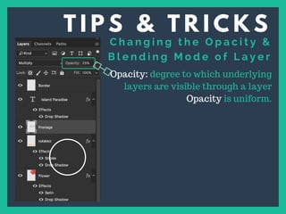 Layer Opacity Examples Lesson 4 Tips & Tricks | PDF