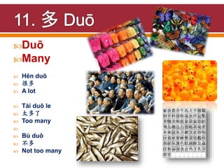 Chinese Link Lesson 4 vocabulary | PPTX