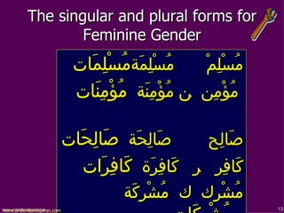 مُسْلِمْ     مُسْلِمَ ة مُسْلِمَات مُؤْمِن    مُؤْمِنَة   مُؤْمِنَات     صَالِح     صَالِحَة   صَالِحَات   كَافِر     كَافِرَة   كَافِرَات   مُشْرِك     مُشْرِكَة   مُشْرِكَات مُنَافِق     مُنَافِقَة   مُنَافِقَات   The singular and plural forms for Feminine Gender www.understandquran.com 