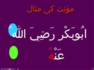 ‫مؤنث كی مثال‬


            ‫ابُوبَكْر رَضِيَ ا ُ‬
                               ‫عَنْهُ‬
‫‪www.understandquran.com‬‬                  ‫31‬
 
