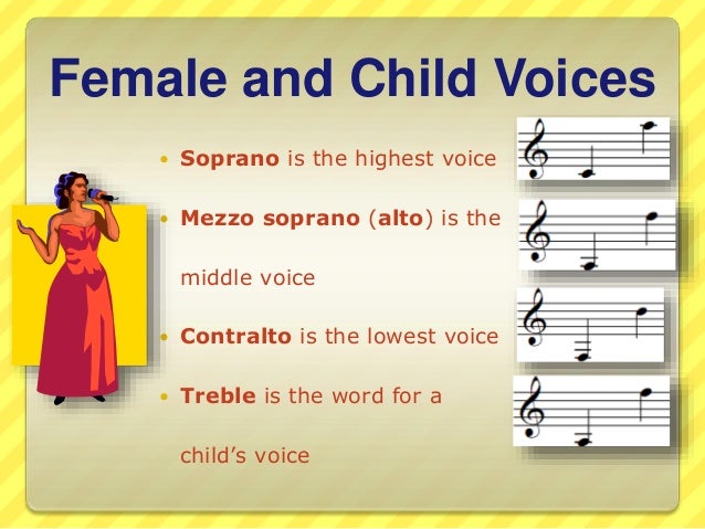 Lesson 5 the Voice And The Instruments Lesson 5 the Voice And The Instruments