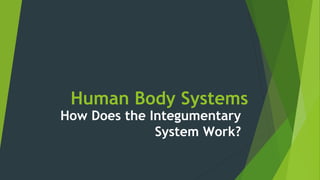 Human Body Systems
How Does the Integumentary
System Work?
 