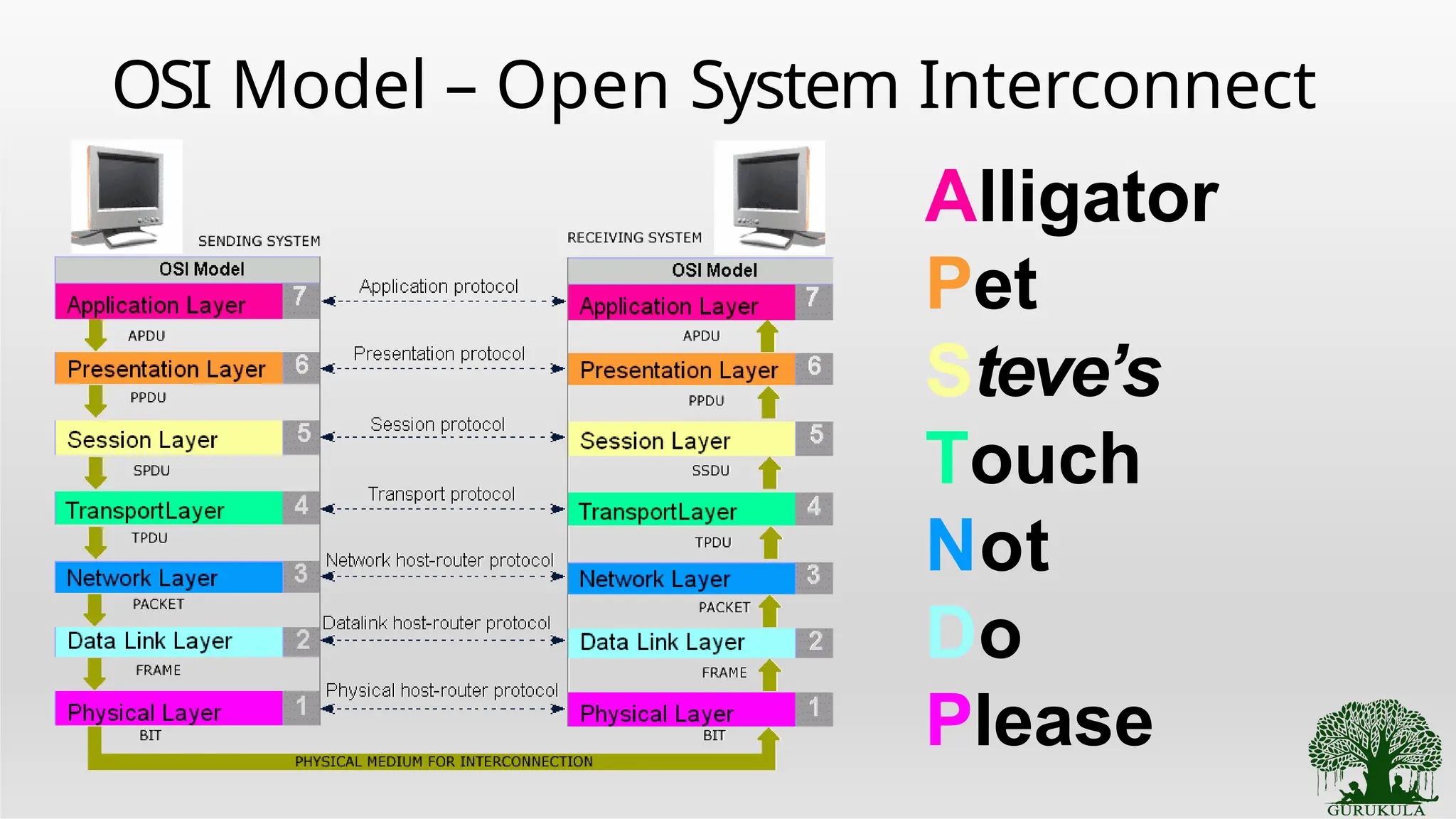 OSI Model – Open System Interconnect
Alligator
Pet
Steve’s
Touch
Not
Do
Please
 