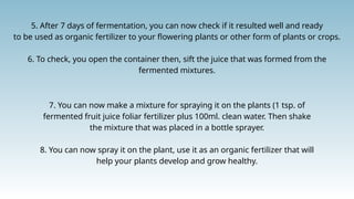 5. After 7 days of fermentation, you can now check if it resulted well and ready
to be used as organic fertilizer to your flowering plants or other form of plants or crops.
6. To check, you open the container then, sift the juice that was formed from the
fermented mixtures.
7. You can now make a mixture for spraying it on the plants (1 tsp. of
fermented fruit juice foliar fertilizer plus 100ml. clean water. Then shake
the mixture that was placed in a bottle sprayer.
8. You can now spray it on the plant, use it as an organic fertilizer that will
help your plants develop and grow healthy.
 