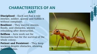 LESSON 5.powerpoint presentation for grade 7 | PPTX