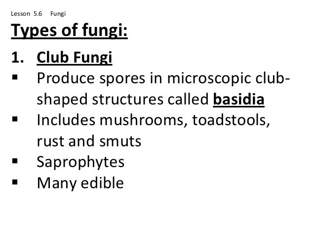 Biology Lesson 5 6 Biology Lesson 5 6