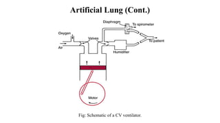 Lesson 5 - Biofluid Flow in Artificial Devices.pptx