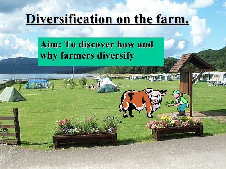 Lesson 5 Diversification On The Farm.