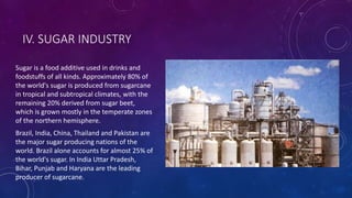 IV. SUGAR INDUSTRY
Sugar is a food additive used in drinks and
foodstuffs of all kinds. Approximately 80% of
the world's sugar is produced from sugarcane
in tropical and subtropical climates, with the
remaining 20% derived from sugar beet,
which is grown mostly in the temperate zones
of the northern hemisphere.
Brazil, India, China, Thailand and Pakistan are
the major sugar producing nations of the
world. Brazil alone accounts for almost 25% of
the world's sugar. In India Uttar Pradesh,
Bihar, Punjab and Haryana are the leading
producer of sugarcane.
 