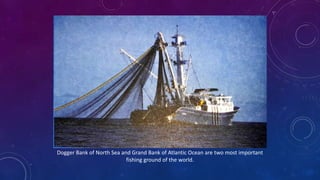 Dogger Bank of North Sea and Grand Bank of Atlantic Ocean are two most important
fishing ground of the world.
 