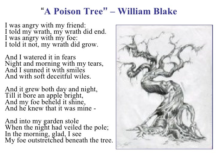 A poison tree analysis essay