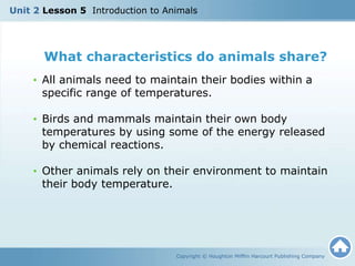 Unit 2 Lesson 5 Introduction to Animals
Copyright © Houghton Mifflin Harcourt Publishing Company
• All animals need to maintain their bodies within a
specific range of temperatures.
• Birds and mammals maintain their own body
temperatures by using some of the energy released
by chemical reactions.
• Other animals rely on their environment to maintain
their body temperature.
What characteristics do animals share?
 