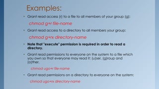 Comprehensive Guide to Linux Terminal Permissions and System Commands ...