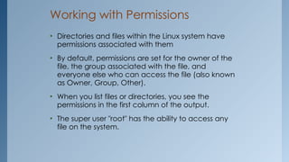 Comprehensive Guide to Linux Terminal Permissions and System Commands ...