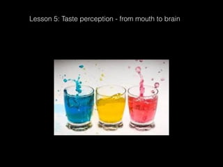 Lesson 5   taste perception - mouth to brain