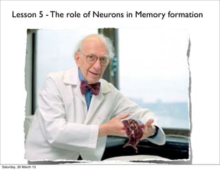 Lesson 5 - The role of Neurons in Memory formation




Saturday, 30 March 13
 