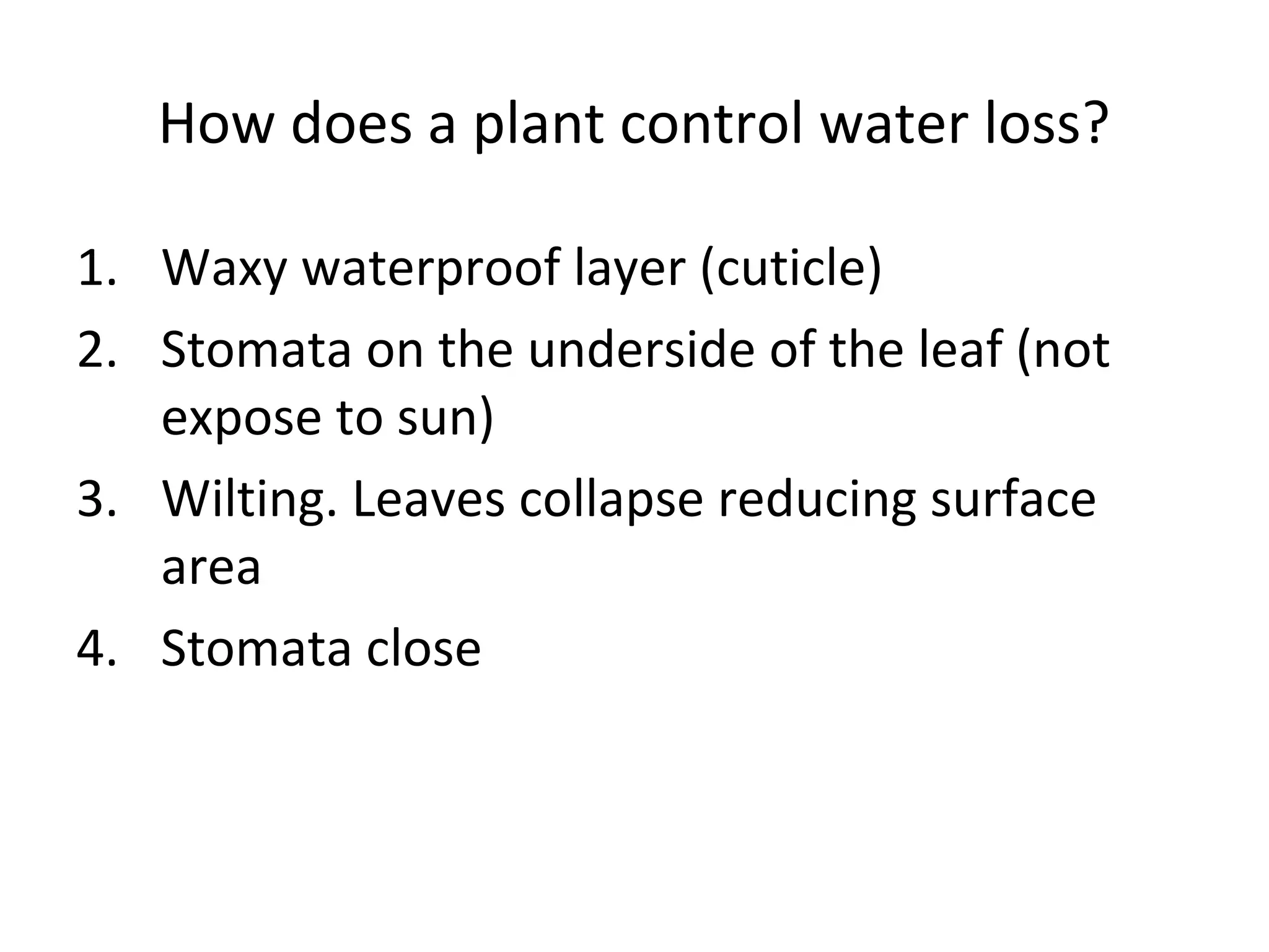 How does a plant control water loss?

1. Waxy waterproof layer (cuticle)
2. Stomata on the underside of the leaf (not
   expose to sun)
3. Wilting. Leaves collapse reducing surface
   area
4. Stomata close
 