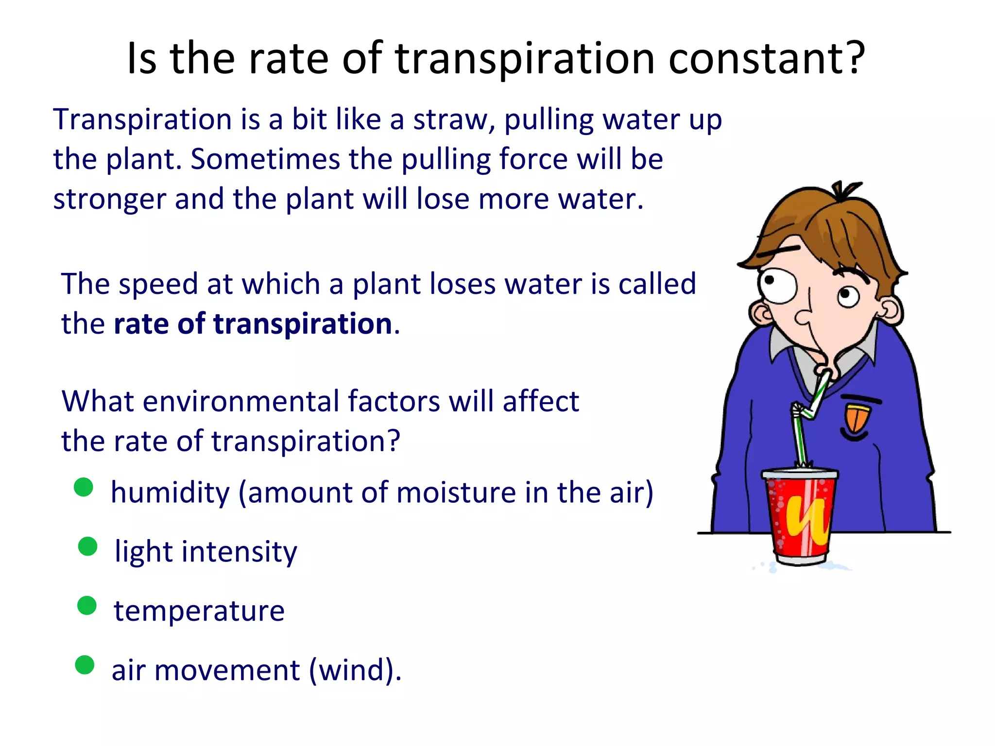 Is the rate of transpiration constant?
Transpiration is a bit like a straw, pulling water up
the plant. Sometimes the pulling force will be
stronger and the plant will lose more water.

The speed at which a plant loses water is called
the rate of transpiration.

What environmental factors will affect
the rate of transpiration?
  humidity (amount of moisture in the air)
  light intensity
  temperature
  air movement (wind).
 