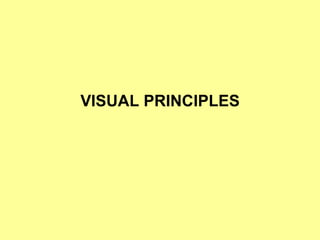 VISUAL PRINCIPLES 
 