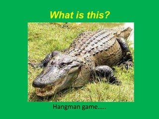 What is this?




Hangman game…..
 