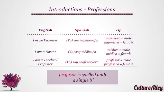 Yo essay spanish picture