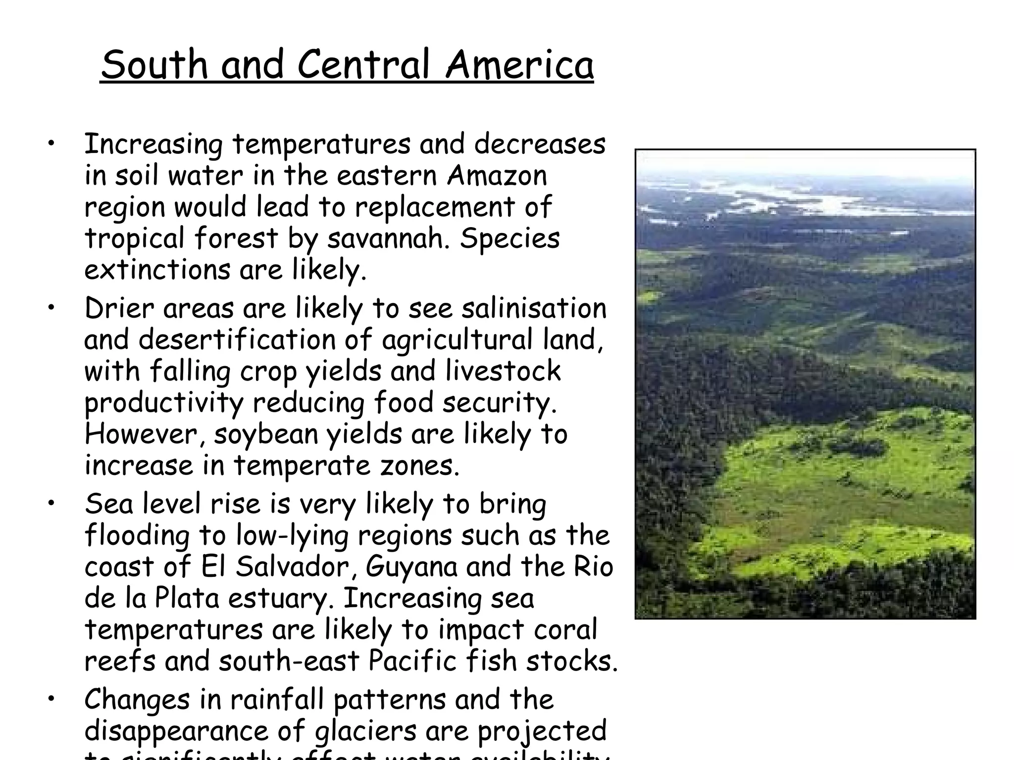 South and Central America Increasing temperatures and decreases in soil water in the eastern Amazon region would lead to replacement of tropical forest by savannah. Species extinctions are likely.  Drier areas are likely to see salinisation and desertification of agricultural land, with falling crop yields and livestock productivity reducing food security. However, soybean yields are likely to increase in temperate zones.  Sea level rise is very likely to bring flooding to low-lying regions such as the coast of El Salvador, Guyana and the Rio de la Plata estuary. Increasing sea temperatures are likely to impact coral reefs and south-east Pacific fish stocks.  Changes in rainfall patterns and the disappearance of glaciers are projected to significantly affect water availability for human consumption, agriculture and energy generation. 