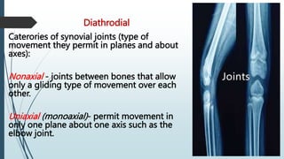 Lesson 5 (Joints).pptx