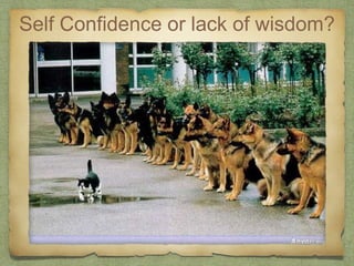 Self Confidence or lack of wisdom?
 