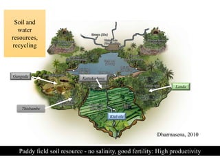 Landa
Thisbambe
Gangoda Kattakaduwa
Kiul-ela
Paddy field soil resource - no salinity, good fertility: High productivity
Soil and
water
resources,
recycling
Dharmasena, 2010
 