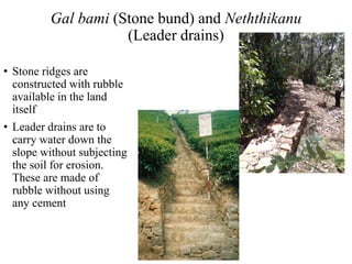 Gal bami (Stone bund) and Neththikanu
(Leader drains)
• Stone ridges are
constructed with rubble
available in the land
itself
• Leader drains are to
carry water down the
slope without subjecting
the soil for erosion.
These are made of
rubble without using
any cement
 
