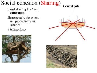 Land sharing in chena
cultivation
Share equally the extent,
soil productivity and
security
Mulketa hena
Social cohesion (Sharing)
 