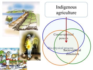 Cosmo-spiritual
powers
Socio-cultural
dimension
Bio-physical process
Indigenous
agriculture
 