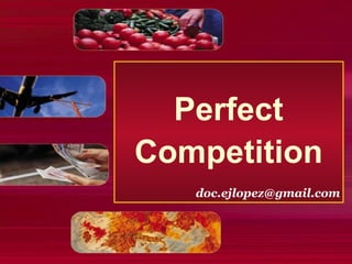 Perfect Competition [email_address] 