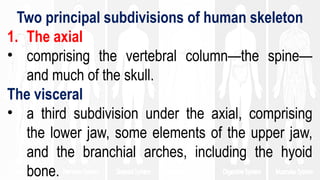 LESSON 5 Q2 ORGAN SYSTEMS (Animals).pptx
